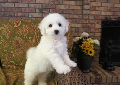 IMG_0630
